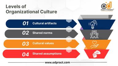 Levels of Organizational Culture - مستويات الثقافه التنظيمية