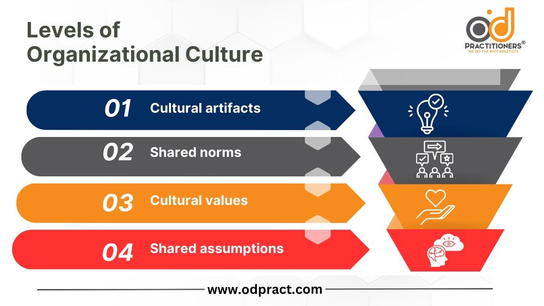 Levels of Organizational Culture - مستويات الثقافه التنظيمية
