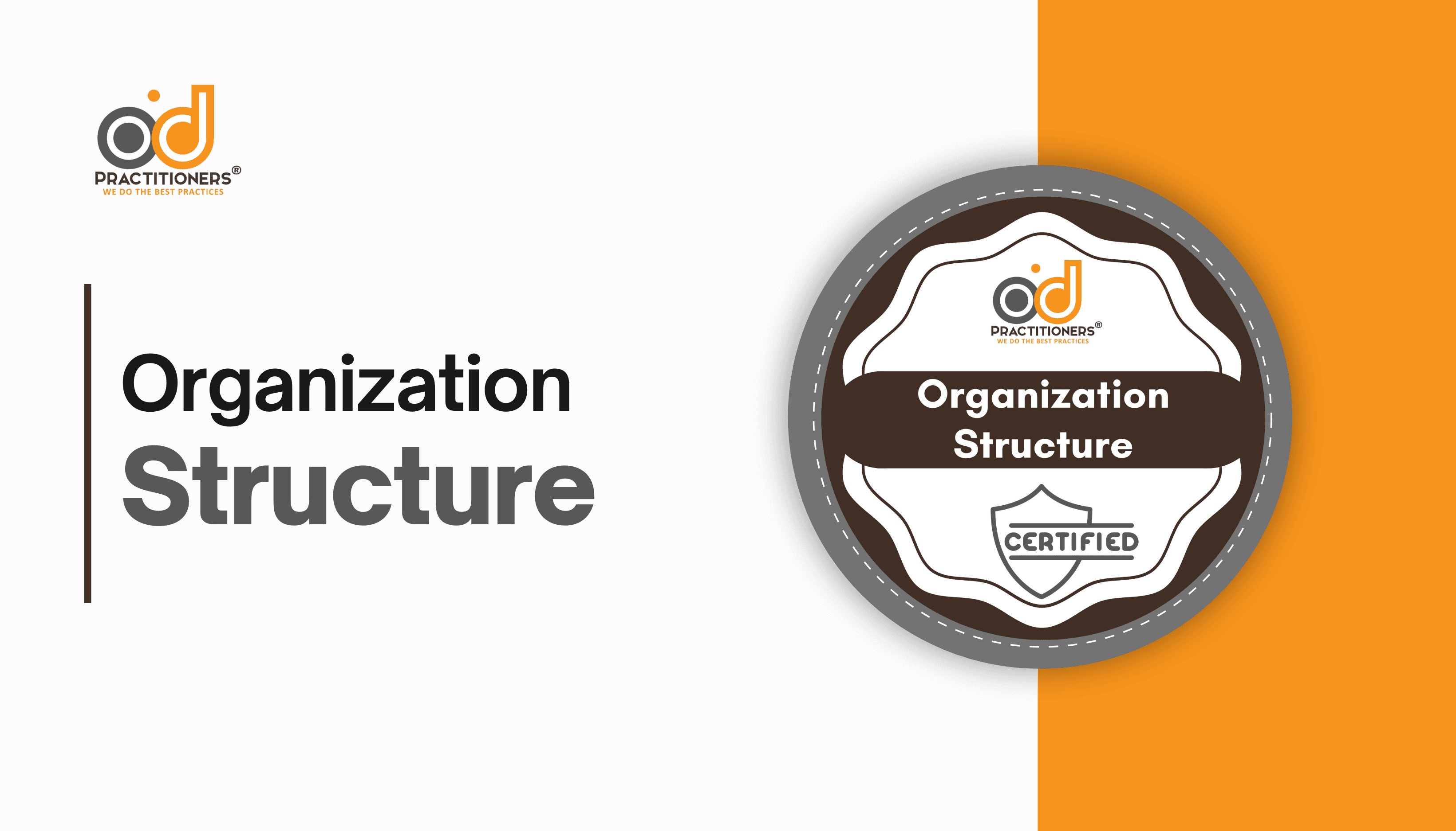 Organization Structure