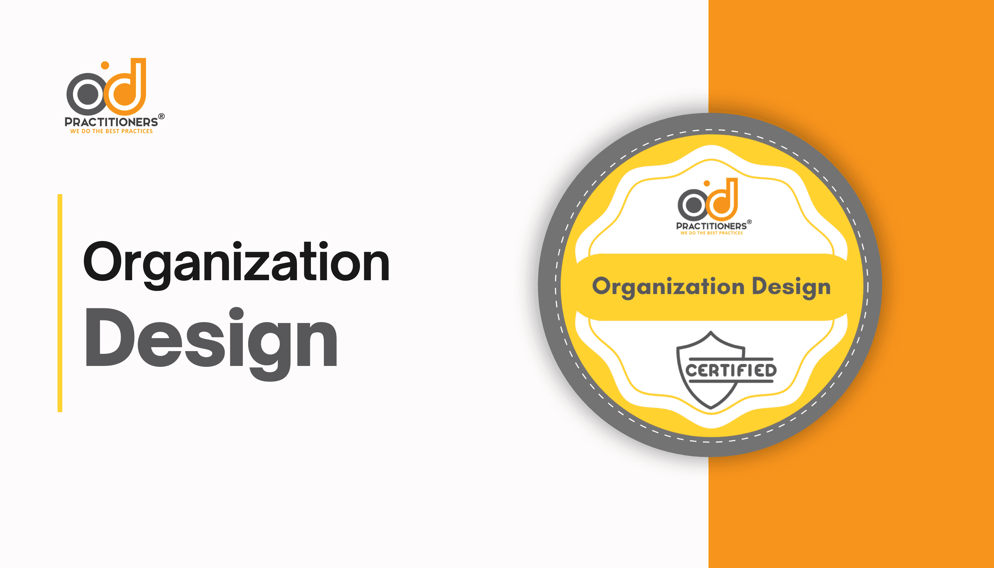 Organization Design
