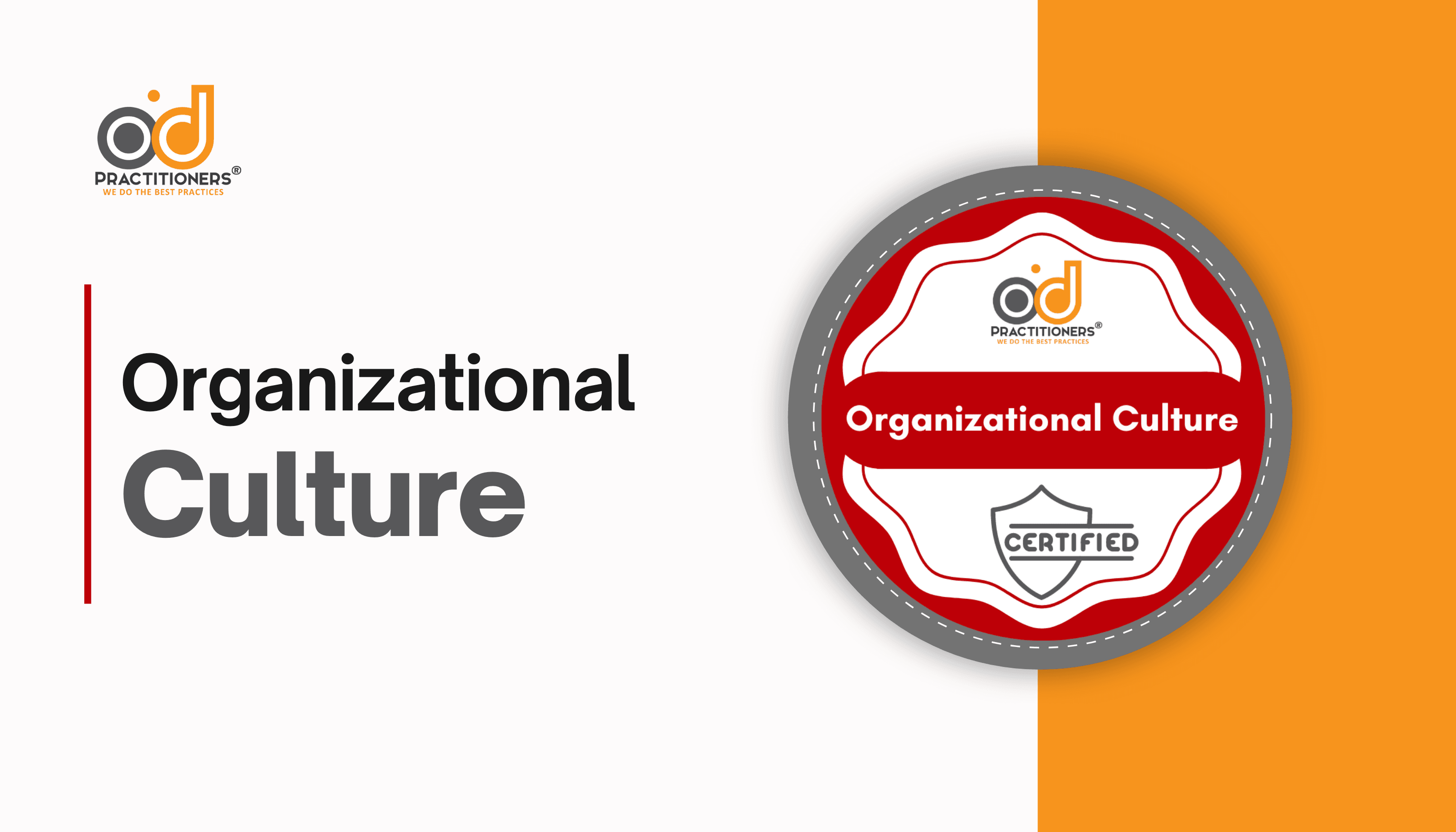 Organizational Culture